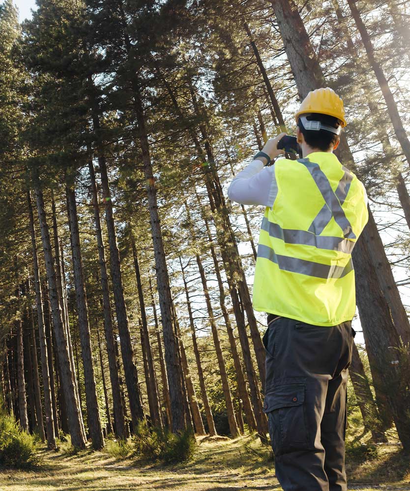 consulenze agronomiche aree verdi