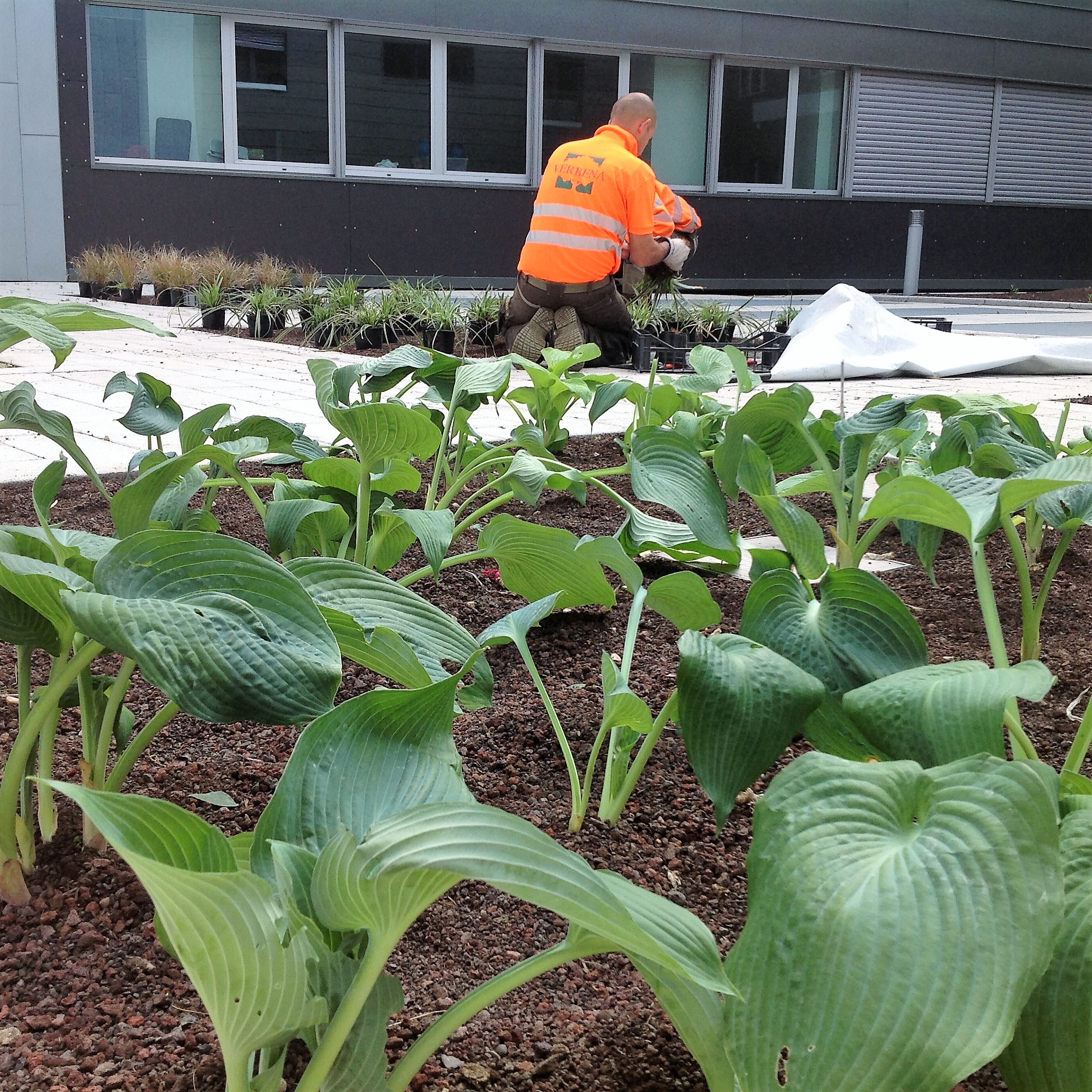 progettazione giardini lodi