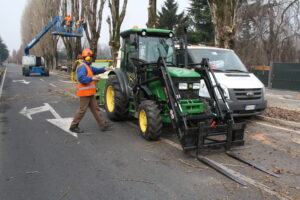 taglio alberi bordo strada