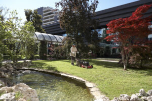 cura e conservazione aree verdi aziendali